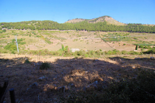 Terreno agricolo in vendita a Altofonte (PA)