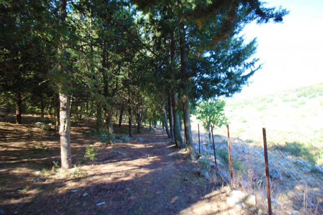 Terreno agricolo in vendita a Altofonte (PA)