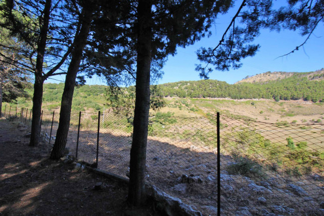 Terreno agricolo in vendita a Altofonte (PA)