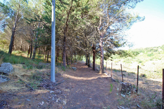 Terreno agricolo in vendita a Altofonte (PA)