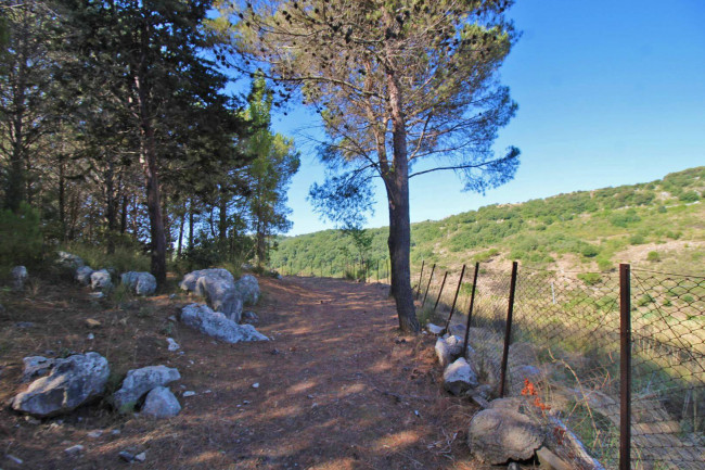 Terreno agricolo in vendita a Altofonte (PA)