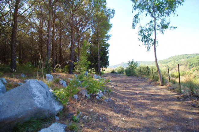 Terreno agricolo in vendita a Altofonte (PA)