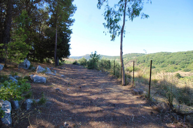 Terreno agricolo in vendita a Altofonte (PA)