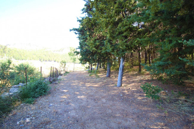 Terreno agricolo in vendita a Altofonte (PA)