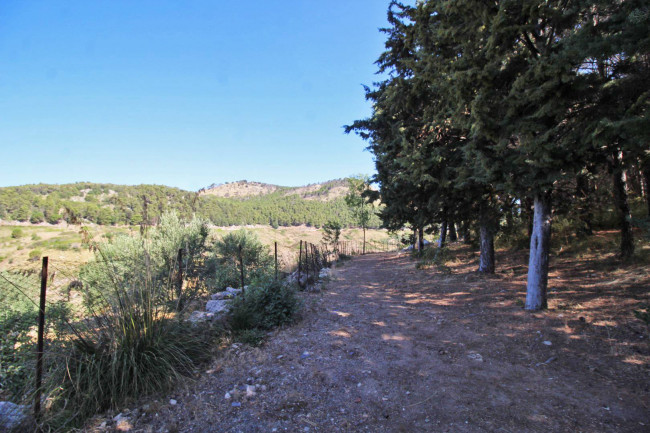 Terreno agricolo in vendita a Altofonte (PA)