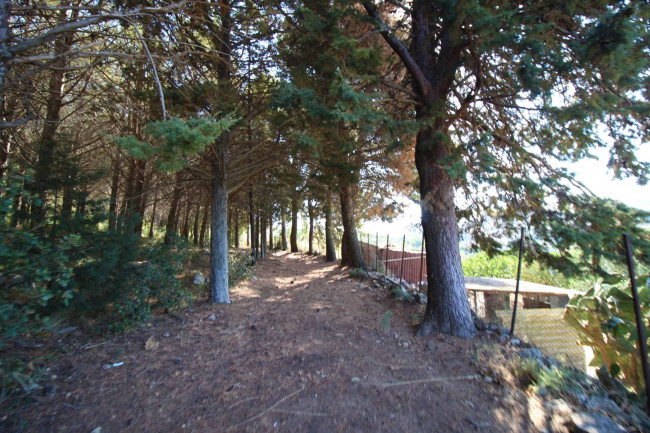 Terreno agricolo in vendita a Altofonte (PA)