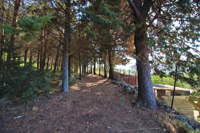 Terreno agricolo in vendita a Altofonte (PA)