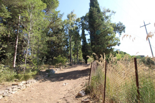 Terreno agricolo in vendita a Altofonte (PA)