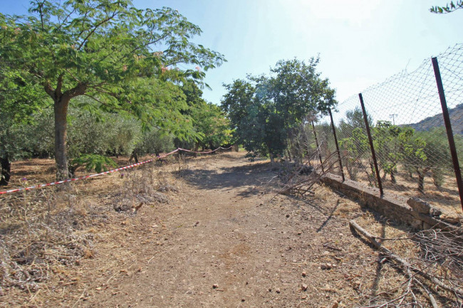 Terreno agricolo in vendita a Altofonte (PA)