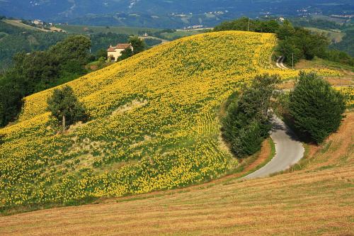 Casale in vendita a Montefalcone Appennino