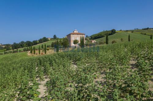 Casale in vendita a Montalto delle Marche