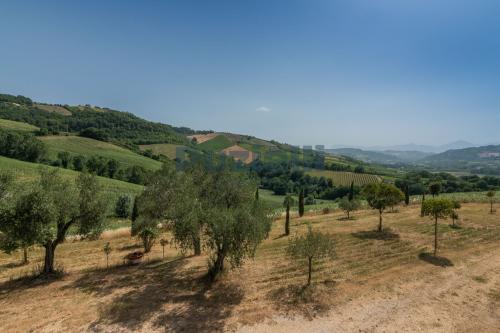 Casale in vendita a Montalto delle Marche