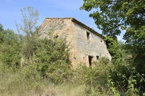 Casale in vendita a Montefiore dell'Aso