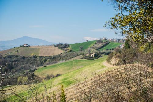 Rustico in vendita a Carassai