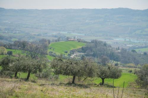 Rustico in vendita a Carassai