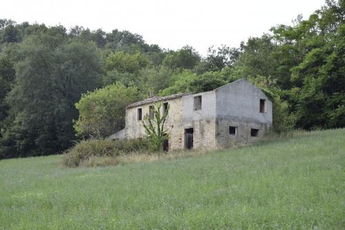 Casale in vendita a Montefiore dell'Aso