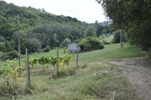 Casale in vendita a Montefiore dell'Aso