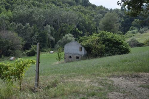 Casale in vendita a Montefiore dell'Aso