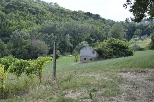 Casale in vendita a Montefiore dell'Aso