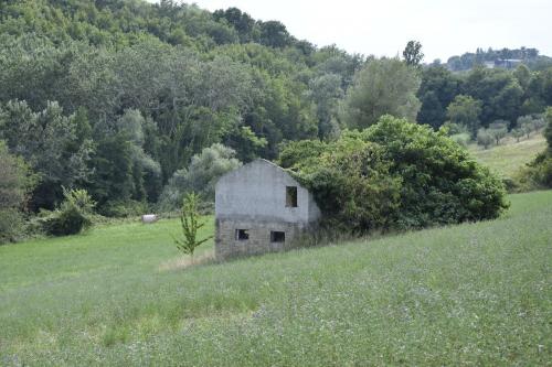 Casale in vendita a Montefiore dell'Aso