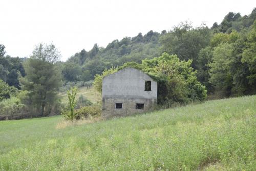 Casale in vendita a Montefiore dell'Aso