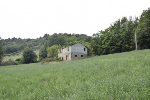 Casale in vendita a Montefiore dell'Aso