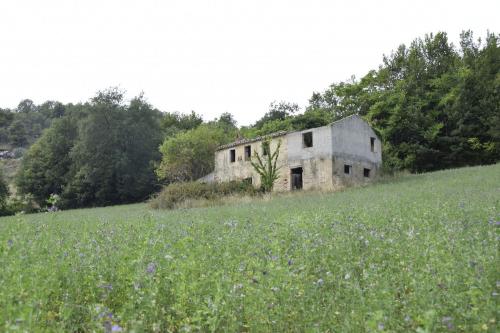 Casale in vendita a Montefiore dell'Aso