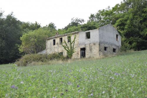 Casale in vendita a Montefiore dell'Aso