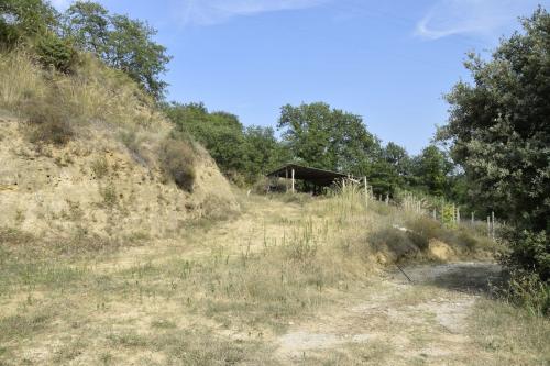 Casa singola in vendita a Montefiore dell'Aso