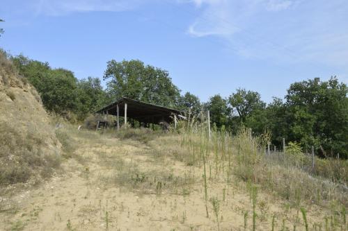 Casa singola in vendita a Montefiore dell'Aso