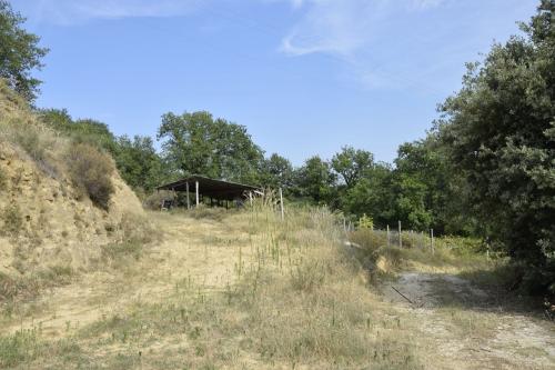 Casa singola in vendita a Montefiore dell'Aso