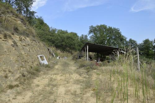 Casa singola in vendita a Montefiore dell'Aso