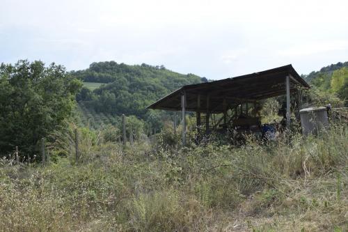 Casa singola in vendita a Montefiore dell'Aso