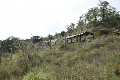 Casa singola in vendita a Montefiore dell'Aso