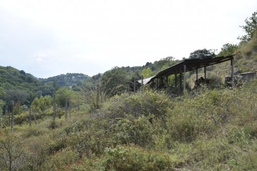 Casa singola in vendita a Montefiore dell'Aso