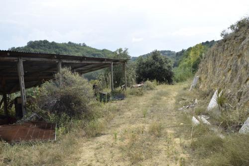 Casa singola in vendita a Montefiore dell'Aso