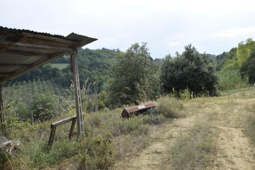 Casa singola in vendita a Montefiore dell'Aso