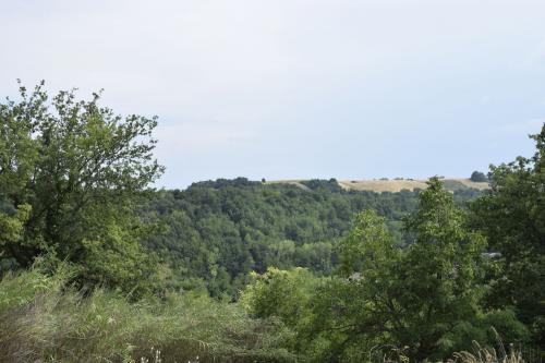 Casa singola in vendita a Montefiore dell'Aso