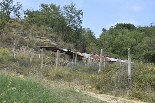 Casa singola in vendita a Montefiore dell'Aso