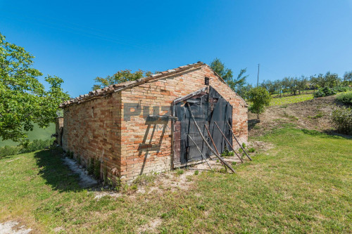 Casa singola in vendita a Montegranaro