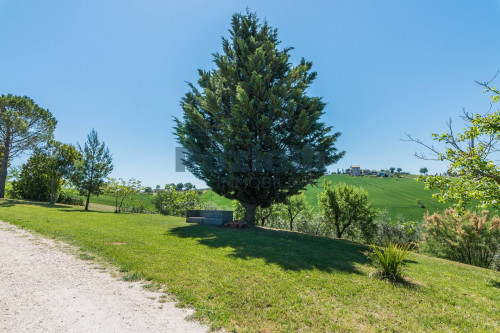 Casa singola in vendita a Montegranaro