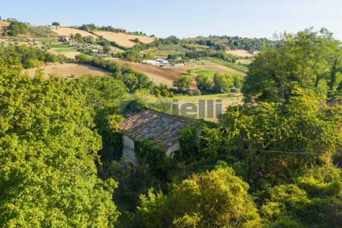 Casale in vendita a Massignano