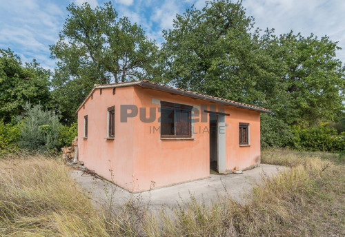  for sale in Monsampietro Morico