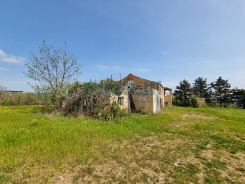 Azienda Agricola in vendita a Rapagnano