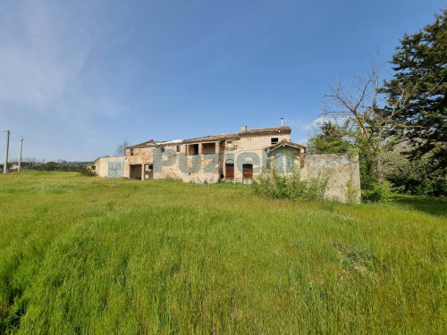 Azienda Agricola in vendita a Rapagnano