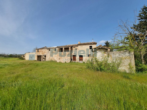 Azienda Agricola in vendita a Rapagnano