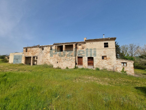 Azienda Agricola in vendita a Rapagnano