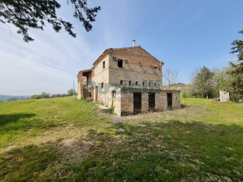 Azienda Agricola in vendita a Rapagnano