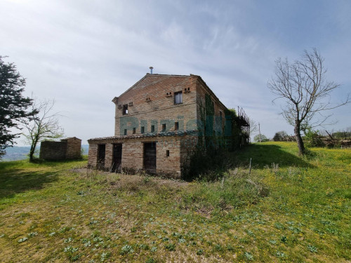 Azienda Agricola in vendita a Rapagnano