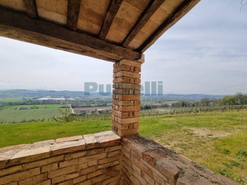 Azienda Agricola in vendita a Rapagnano